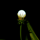 that’s the moon